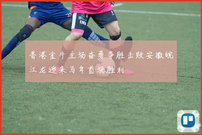 香港金牛主场奋勇争胜击败安徽皖江龙迎来马年首场胜利